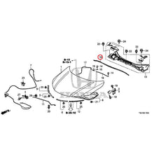 Load image into Gallery viewer, [NEW] JDM HONDA GRACE GM6 2017 Hood GENUINE OEM
