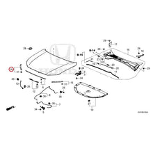Load image into Gallery viewer, [NEW] JDM HONDA ZR-V RZ3 2023 Hood GENUINE OEM
