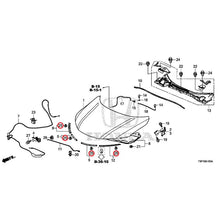Load image into Gallery viewer, [NEW] JDM HONDA GRACE HYBRID GM4 2015 Hood GENUINE OEM
