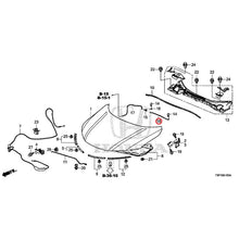Load image into Gallery viewer, [NEW] JDM HONDA GRACE HYBRID GM4 2015 Hood GENUINE OEM

