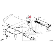 Load image into Gallery viewer, [NEW] JDM HONDA CIVIC FL1 2025 Hood GENUINE OEM
