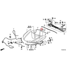 Load image into Gallery viewer, [NEW] JDM HONDA GRACE GM6 2017 Hood GENUINE OEM
