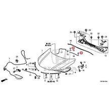 Load image into Gallery viewer, [NEW] JDM HONDA GRACE HYBRID GM4 2015 Hood GENUINE OEM
