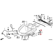 Load image into Gallery viewer, [NEW] JDM HONDA GRACE HYBRID GM4 2015 Hood GENUINE OEM

