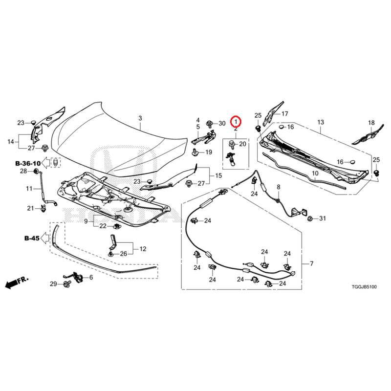 [NEW] JDM HONDA CIVIC FK7 2021 Hood GENUINE OEM