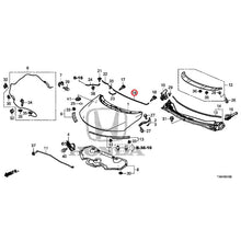 Load image into Gallery viewer, [NEW] JDM HONDA JADE FR5 2019 Hood GENUINE OEM
