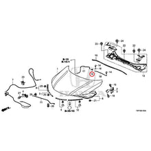 Load image into Gallery viewer, [NEW] JDM HONDA GRACE HYBRID GM4 2017 Hood GENUINE OEM
