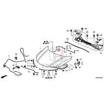 Load image into Gallery viewer, [NEW] JDM HONDA GRACE HYBRID GM4 2017 Hood GENUINE OEM
