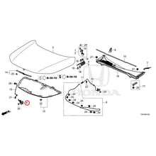 Load image into Gallery viewer, [NEW] JDM HONDA CIVIC FL1 2025 Hood GENUINE OEM
