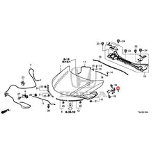 Load image into Gallery viewer, [NEW] JDM HONDA GRACE GM6 2017 Hood GENUINE OEM

