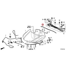 Load image into Gallery viewer, [NEW] JDM HONDA GRACE HYBRID GM4 2017 Hood GENUINE OEM
