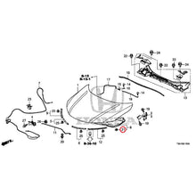 Load image into Gallery viewer, [NEW] JDM HONDA GRACE GM6 2017 Hood GENUINE OEM
