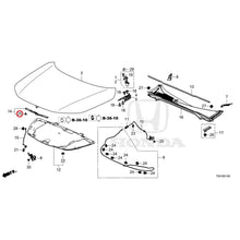 Load image into Gallery viewer, [NEW] JDM HONDA Civic e:HEV FL4 2025 Hood GENUINE OEM
