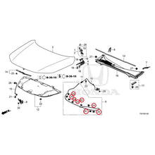 Load image into Gallery viewer, [NEW] JDM HONDA Civic e:HEV FL4 2025 Hood GENUINE OEM
