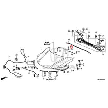 Load image into Gallery viewer, [NEW] JDM HONDA GRACE HYBRID GM4 2017 Hood GENUINE OEM
