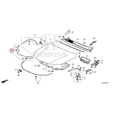 Load image into Gallery viewer, [NEW] JDM HONDA ACCORD CY2 2024 Hood GENUINE OEM
