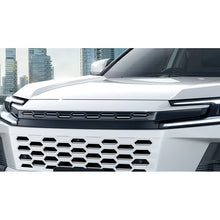 Load image into Gallery viewer, [NEW] JDM Toyota RAV4 P64/N64 Front Grille MODELLISTA Genuine OEM
