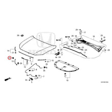 Load image into Gallery viewer, [NEW] JDM HONDA ZR-V e:HEV RZ4 2025 Hood GENUINE OEM
