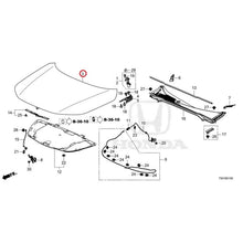 Load image into Gallery viewer, [NEW] JDM HONDA CIVIC FL4 2023 Hood GENUINE OEM
