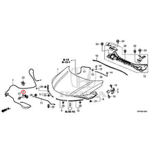 Load image into Gallery viewer, [NEW] JDM HONDA GRACE HYBRID GM4 2017 Hood GENUINE OEM
