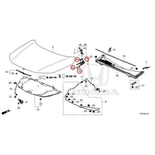 Load image into Gallery viewer, [NEW] JDM HONDA CIVIC FL4 2023 Hood GENUINE OEM
