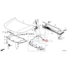Load image into Gallery viewer, [NEW] JDM HONDA Civic e:HEV FL4 2025 Hood GENUINE OEM
