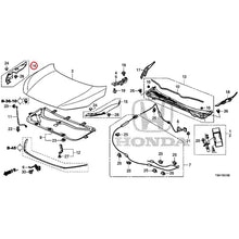 Load image into Gallery viewer, [NEW] JDM HONDA CIVIC FC1 2020 Hood GENUINE OEM
