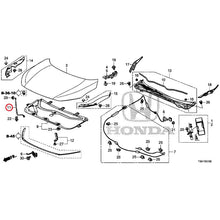 Load image into Gallery viewer, [NEW] JDM HONDA CIVIC FC1 2020 Hood GENUINE OEM
