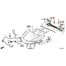Load image into Gallery viewer, [NEW] JDM HONDA GRACE HYBRID GM4 2015 Hood GENUINE OEM
