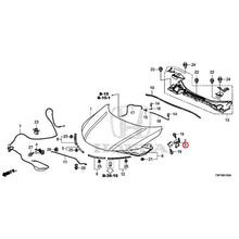 Load image into Gallery viewer, [NEW] JDM HONDA GRACE HYBRID GM4 2015 Hood GENUINE OEM
