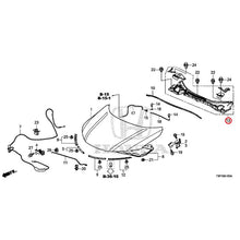 Load image into Gallery viewer, [NEW] JDM HONDA GRACE HYBRID GM4 2015 Hood GENUINE OEM
