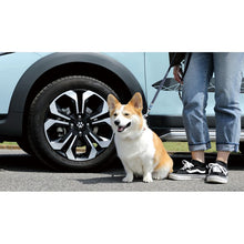 Load image into Gallery viewer, [NEW] JDM Honda FREED GT Pet Center Cap (Paw Print) Genuine OEM
