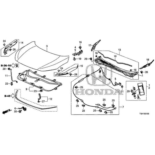 [NEW] JDM HONDA CIVIC FC1 2020 Hood GENUINE OEM