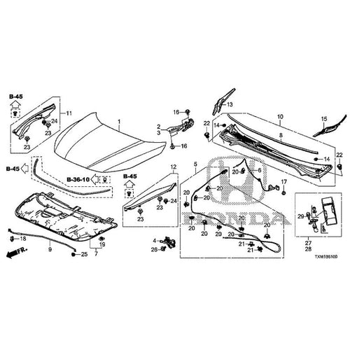 [NEW] JDM HONDA INSIGHT ZE4 2021 Hood GENUINE OEM