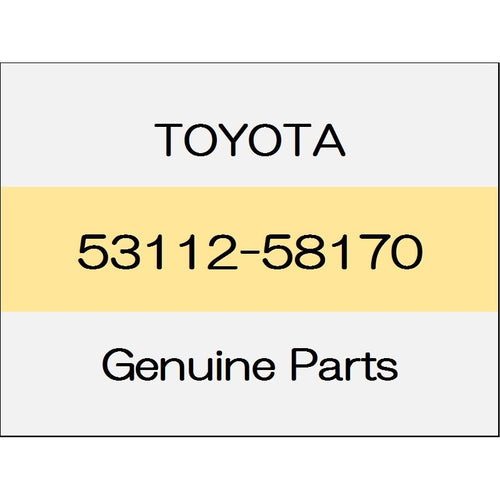 [NEW] JDM TOYOTA ALPHARD H3# Radiator grill lower 53112-58170 GENUINE OEM
