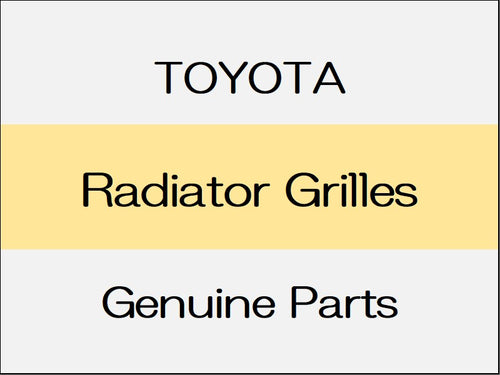 [NEW] JDM TOYOTA VITZ P13# Radiator Grilles / Standard Series from Apr 2014 to Jan 2017
